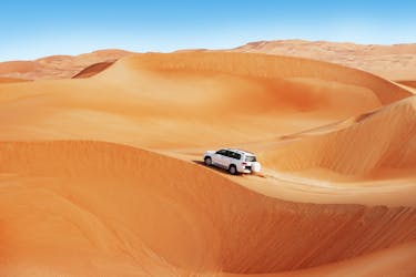 Halfdaagse woestijnsafari met dune-bashing vanuit Doha